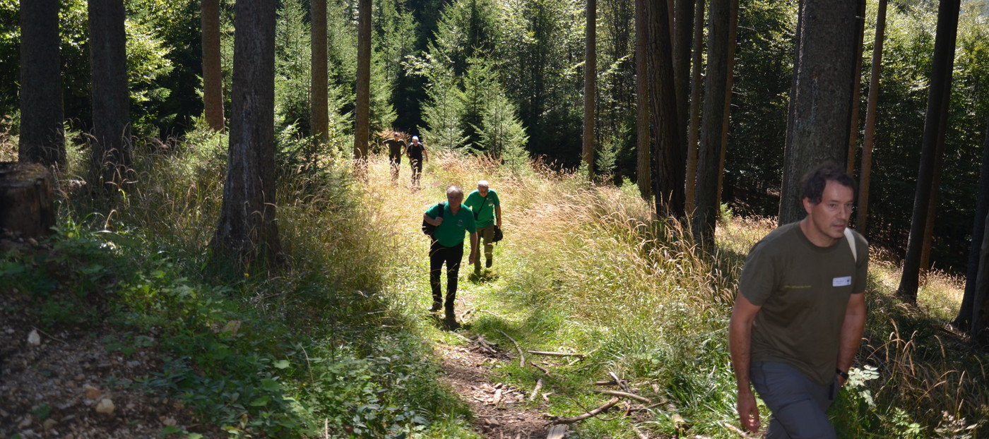Slika 10: Ekskurzija v gozdovih v okolici Mislinje