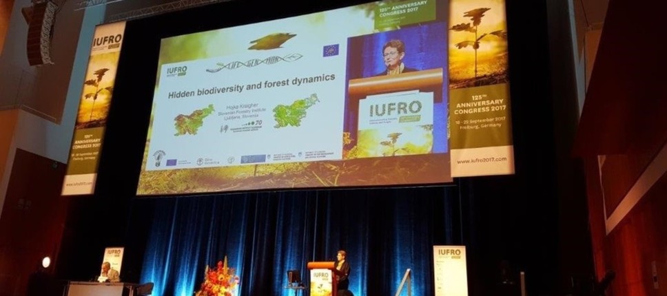 IUFRO - Kongres ob 125. obletnici zaznamoval tudi obisk Gozdarskega inštituta Slovenije