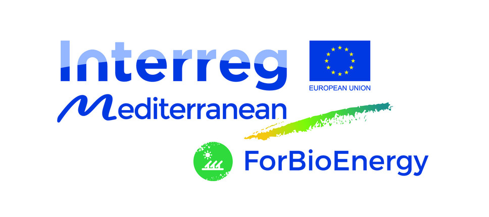 Sestanek projekta ForBioEnergy