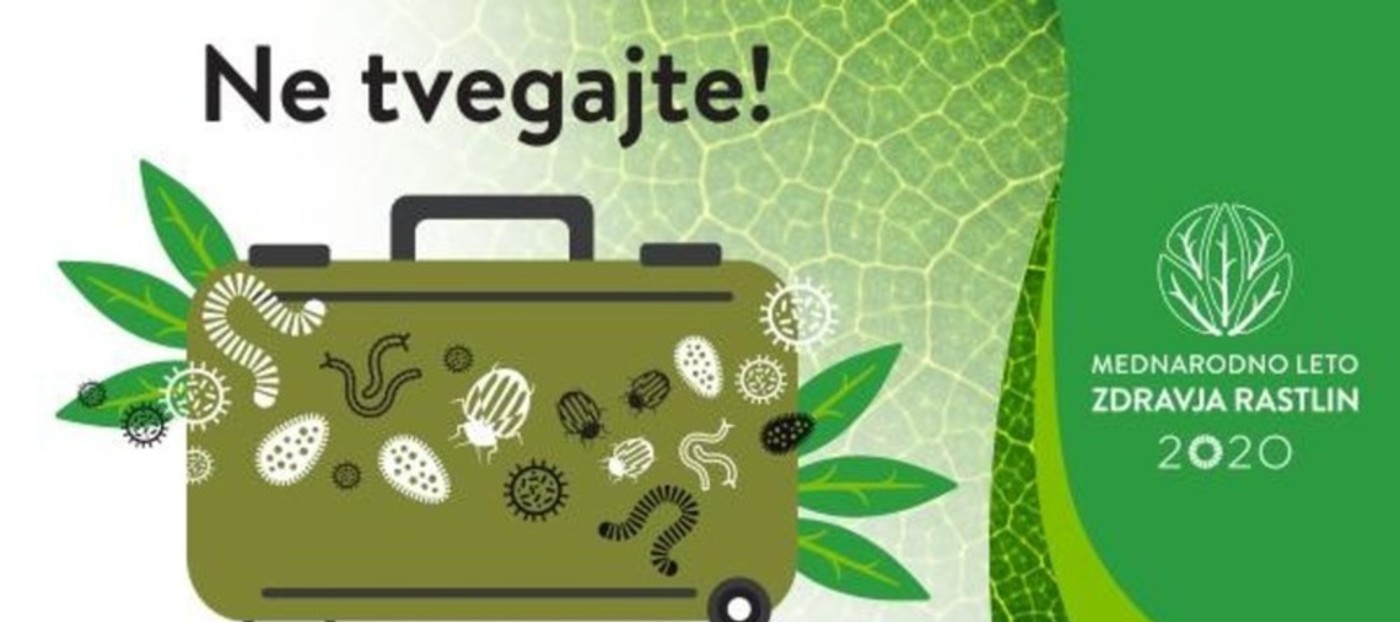 Gozdarski inštitut Slovenije podpira kampanjo osveščanja o pomenu zdravja rastlin