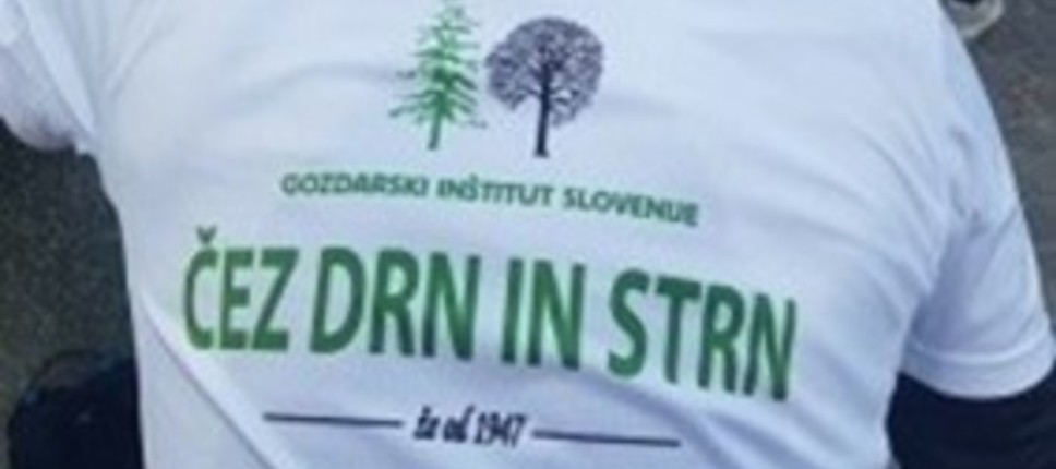 Čez drn in strn na 22. Ljubljanskem maratonu