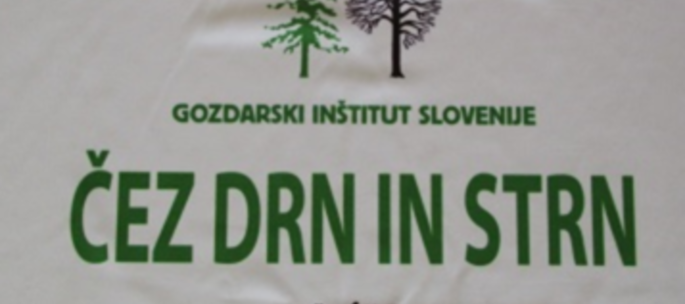 Čez drn in strn