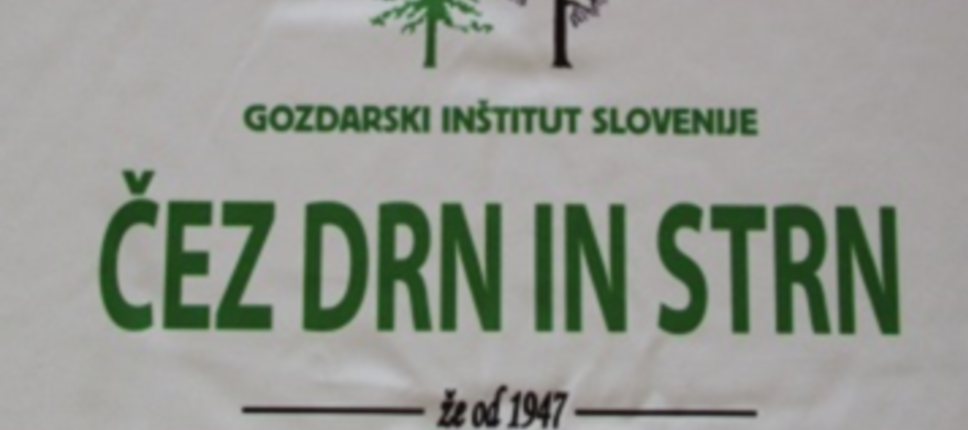 Čez drn in strn