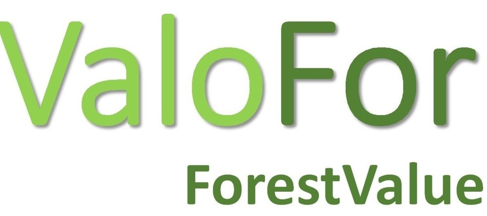 Spletna anketa projekta valofor za zasebne lastnike gozdov