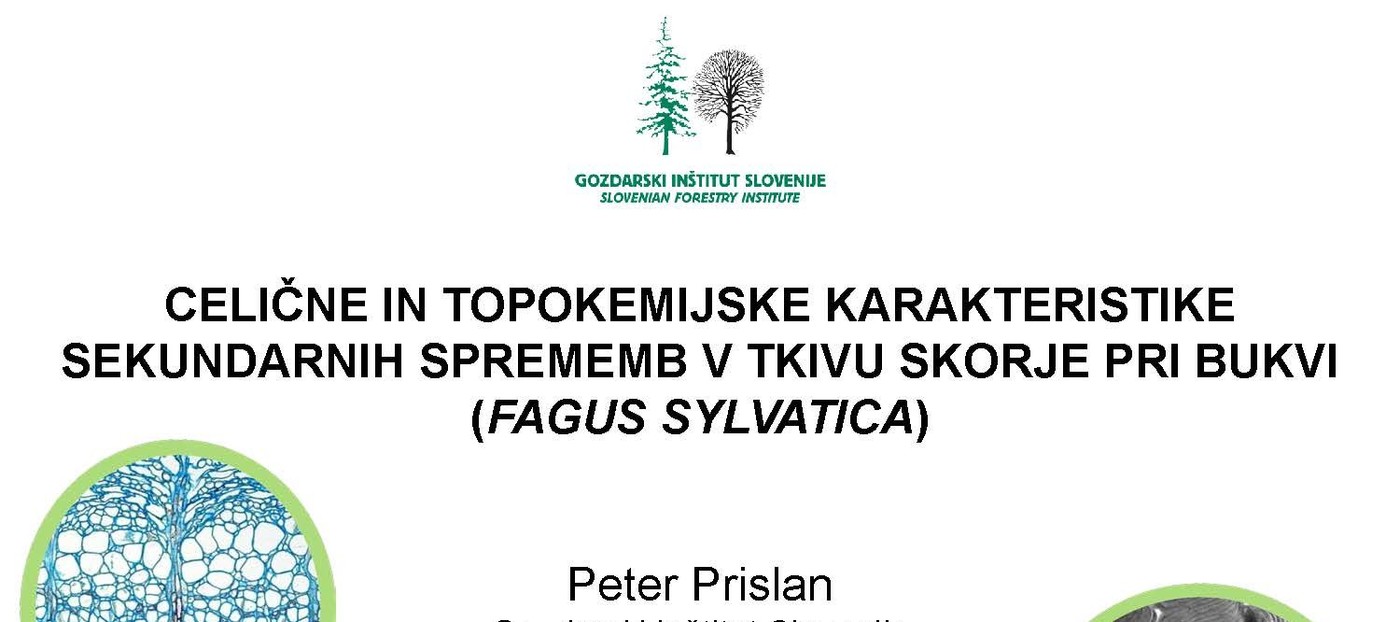 Izjemen znanstveni dosežek dr. Petra Prislana na področju Gozdarstva, lesarstva in papirništva za leto 2012