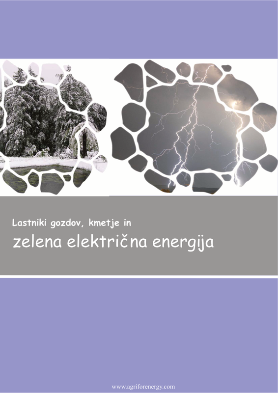 Lastniki gozdov, kmetje in zelena električna energija