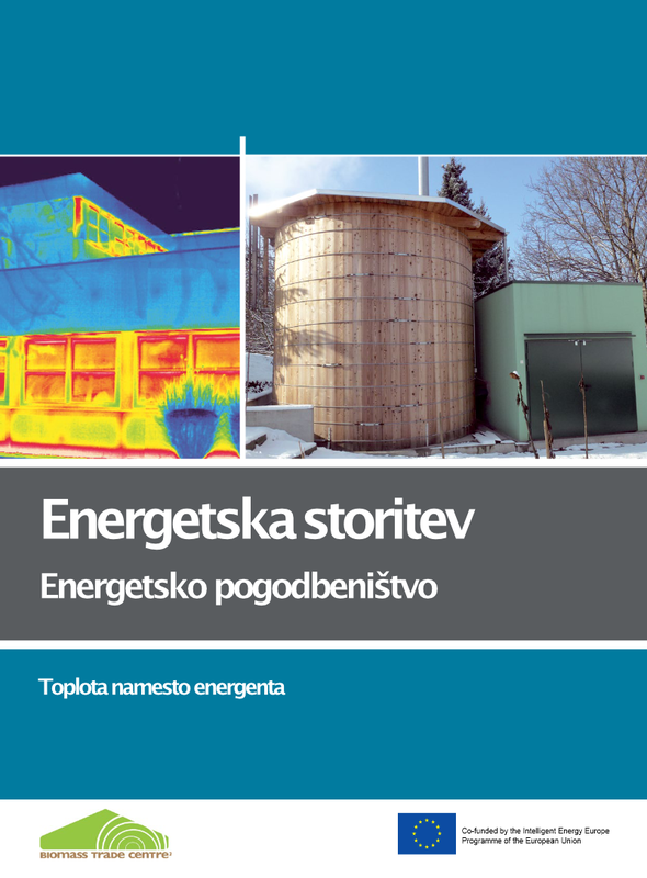 Energetsko pogodbeništvo