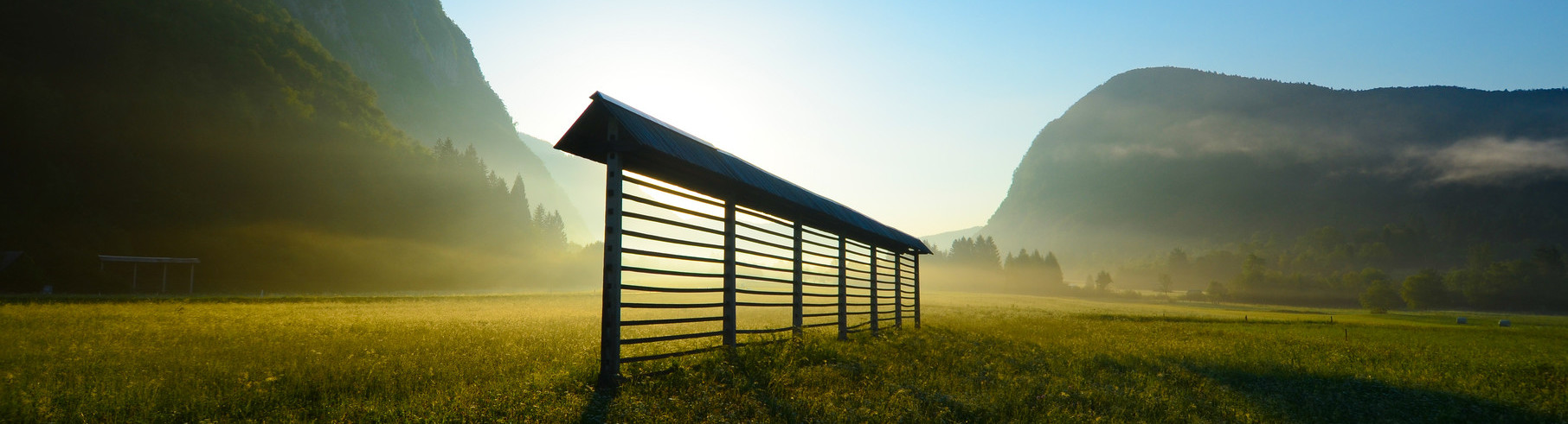 Znanstveno srečanje GOZD in LES: Prihodnost biogospodarstva  