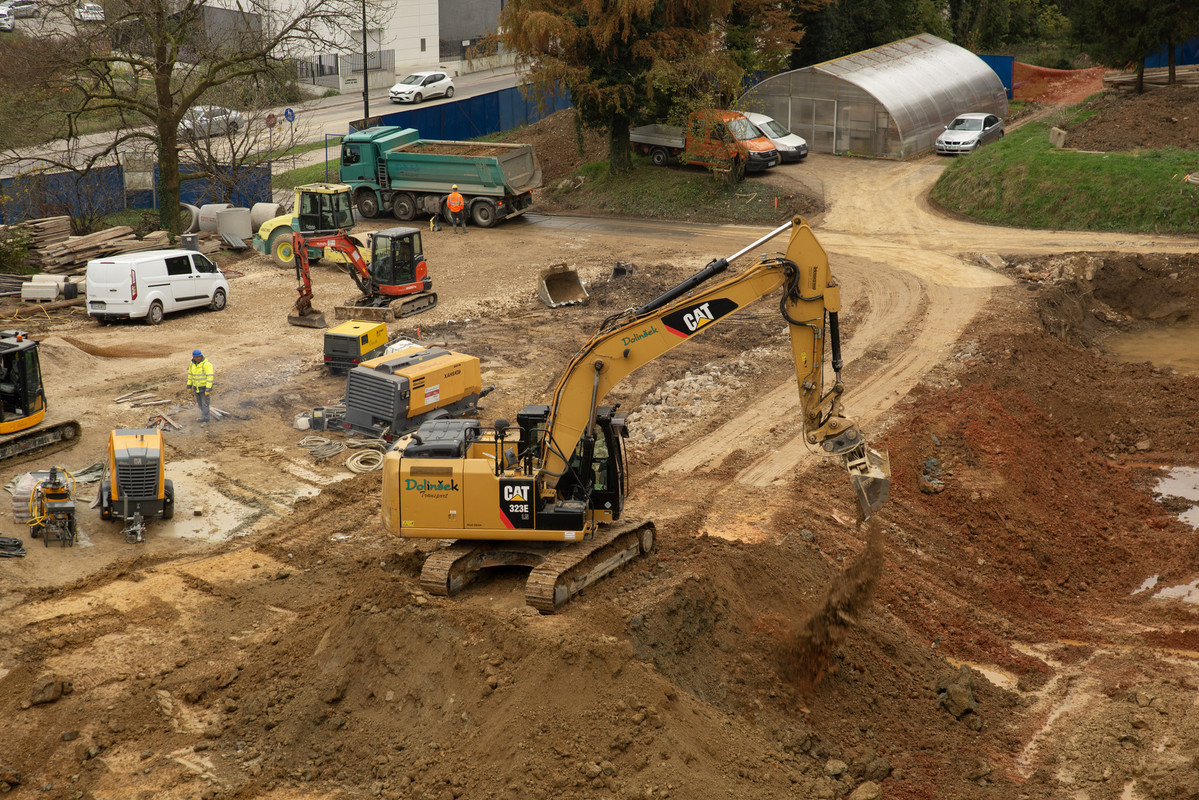 Center za semenarstvo, drevesničarstvo in varstvo gozdov - november 2024