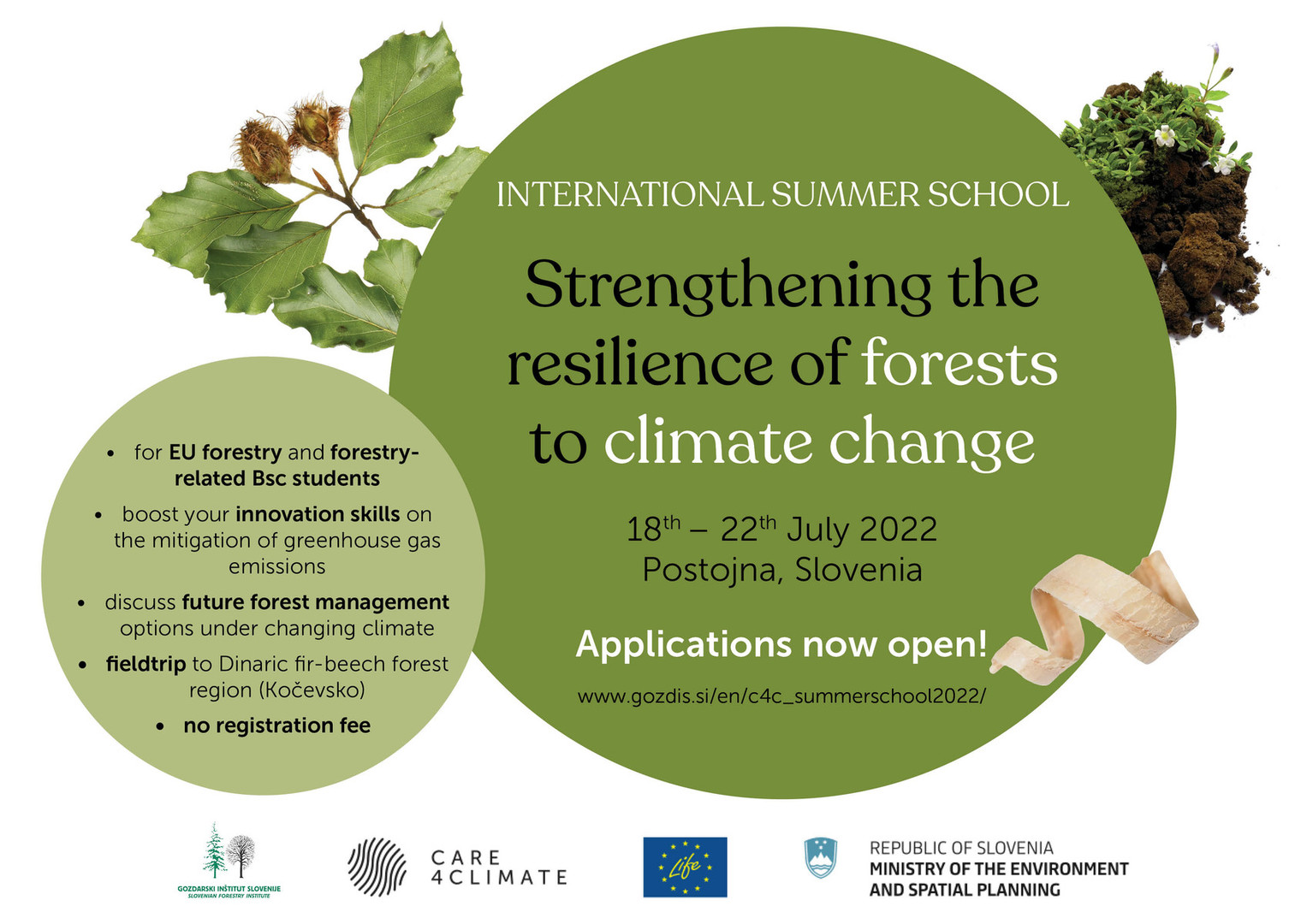 International forestry summer school "Strengthening the resilience of forests to climate change"