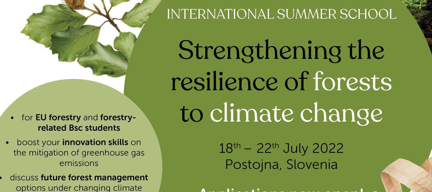 International forestry summer school Slovenia
