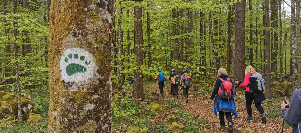 Vzdržljivo po medvedovih stopinjah 2024