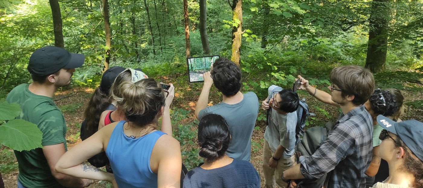 Interdisciplinarna poletna šola o gozdnih ekosistemih