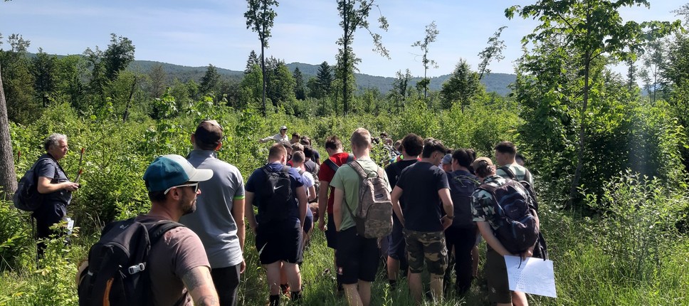 Ogled pilotnega območja v Dolnjih Ložinah (LIFE IP CARE4CLIMATE)