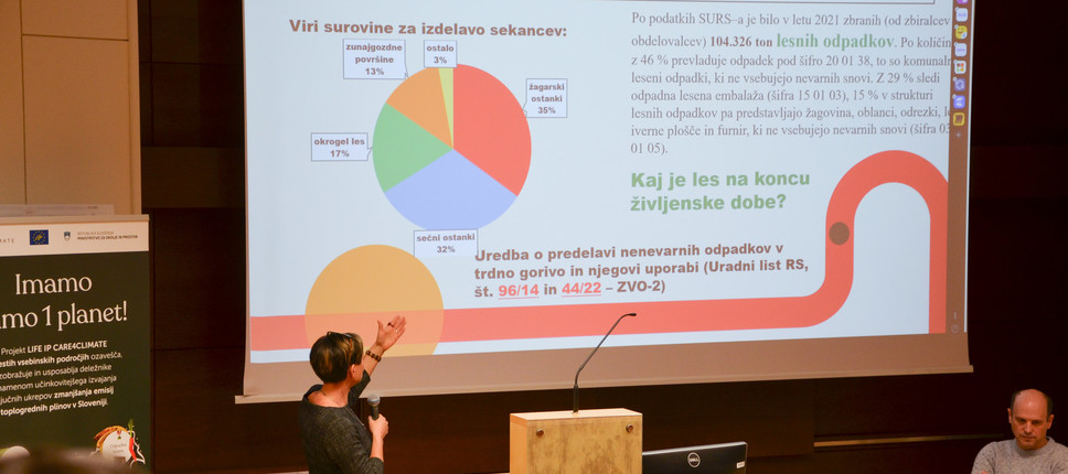 Delavnica SPODBUJANJE RABE LESA KOT MATERIALA IN ENERGENTA