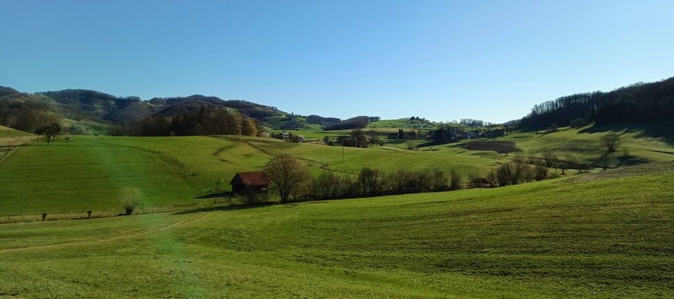 EIP 16.5 MEJICE - Mejice kot podpora biotski raznolikosti, ohranjanju tradicionalnega in izginjajočega kulturnega vzorca slovenskega podeželja ter zagotavljanju ekosistemskih storitev