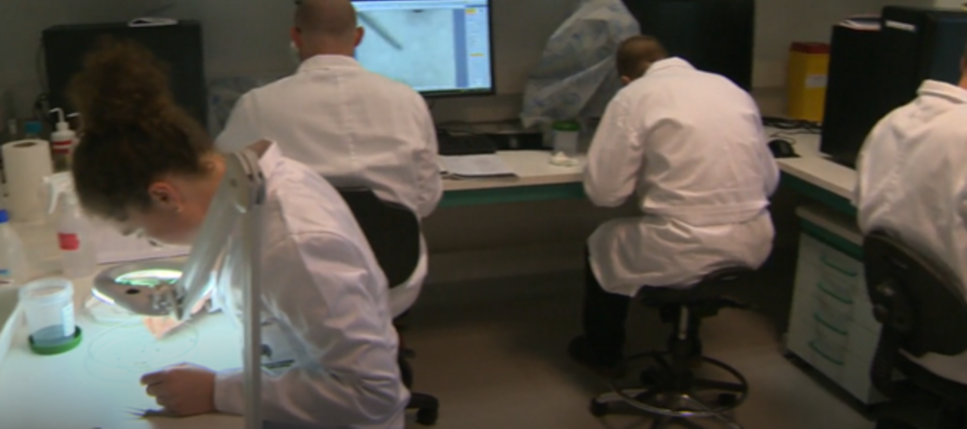 Raziskovalci Laboratorija za varstvo gozdov