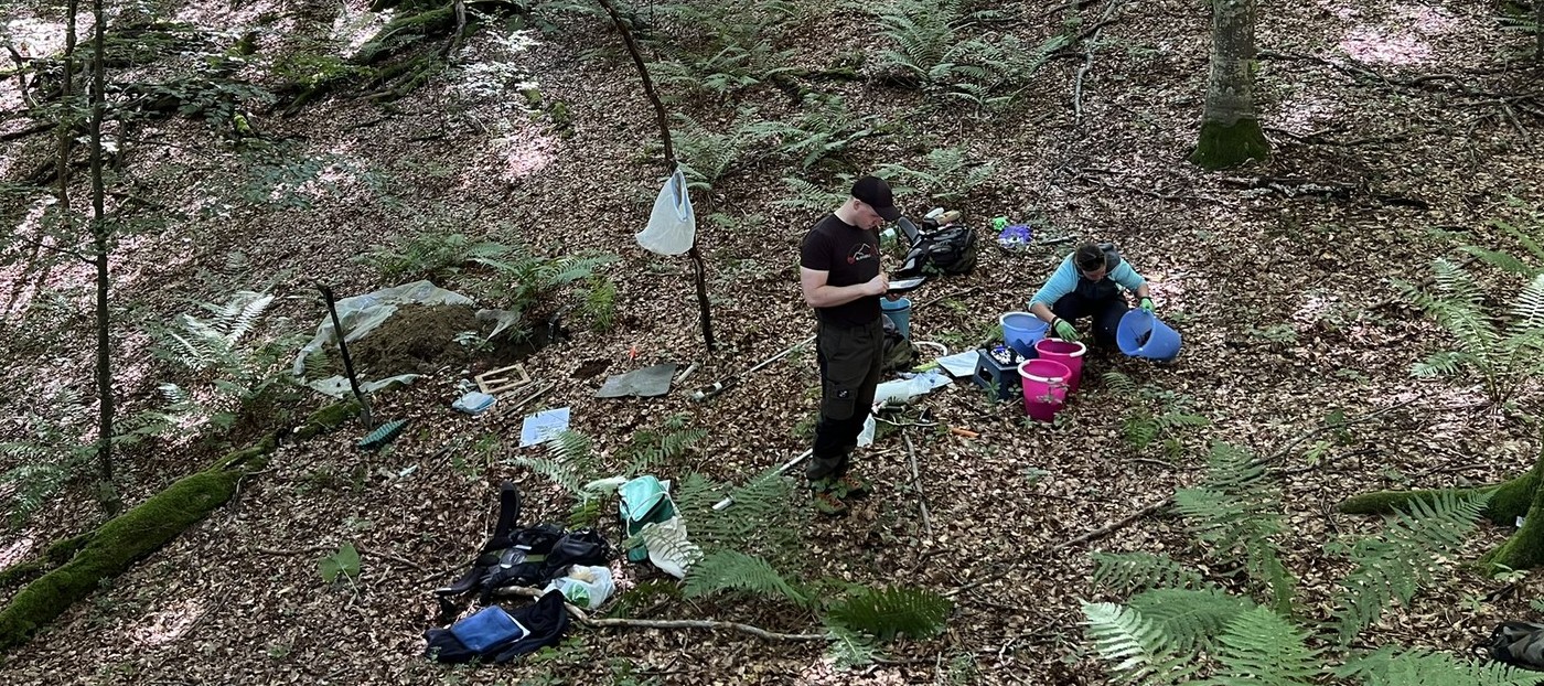 Monitoring gozdnih tal poteka tako, da praviloma na pet do deset let izvedemo vzorčenje organskega in mineralnega del tal na različnih globinah (na sliki). Po navadi jemljemo vzorce na vsakih 10 cm globine. Vzorce predamo Laboratoriju za gozdno ekologijo na Gozdarskem inštitutu Slovenije, ki analizirajo fizikalne in kemijske lastnosti tal. Najbolj nas zanima reakcija tal, vsebnost organske snovi, ogljika, dušika in žvepla, količina makro in mikrohranil v tleh, tekstura in kationska izmenjalna kapaciteta tal.