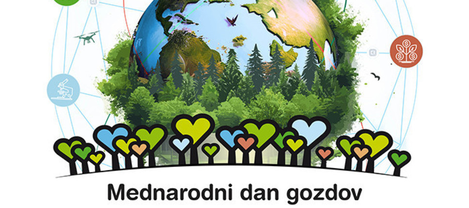 Mednarodni dan gozdov 2024