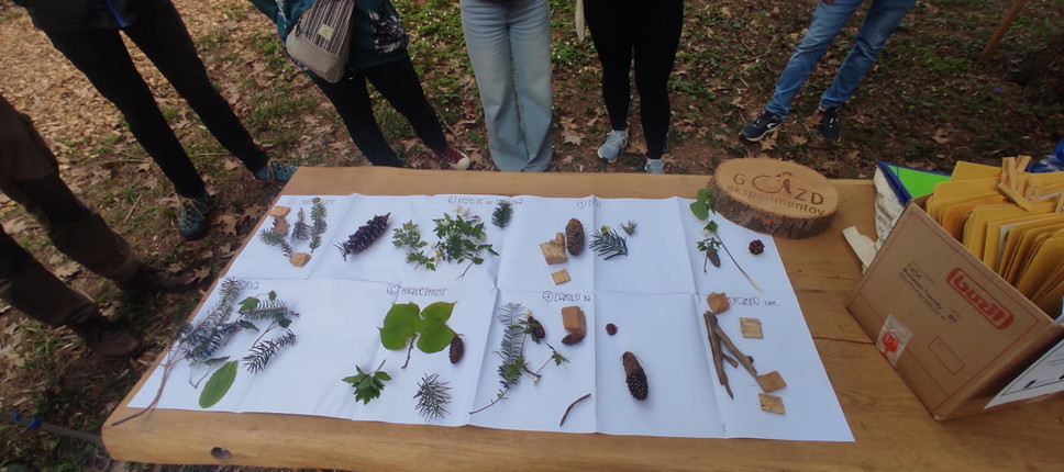 Gozdna pedagogika v teoriji in praksi za študente gozdarstva