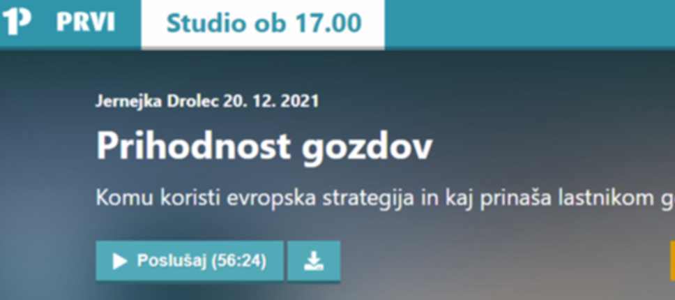 Prihodnost gozdov v luči nove gozdarske strategije Evropske unije