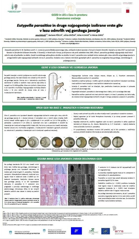 Eutypella parasitica in druge najpogosteje izolirane vrste gliv v lesu odmrlih vej gorskega javorjav javorja
