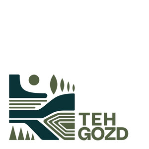 Načrtovanje tehnologij in presoja kakovosti izvajanja del v gozdovih v podporo biogospodarstvu (CRP V4-2209)
