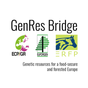 GenRes bridge