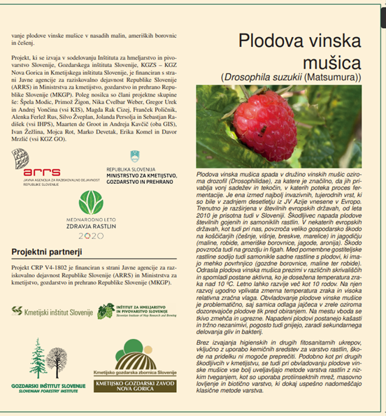 Plodova vinska mušica