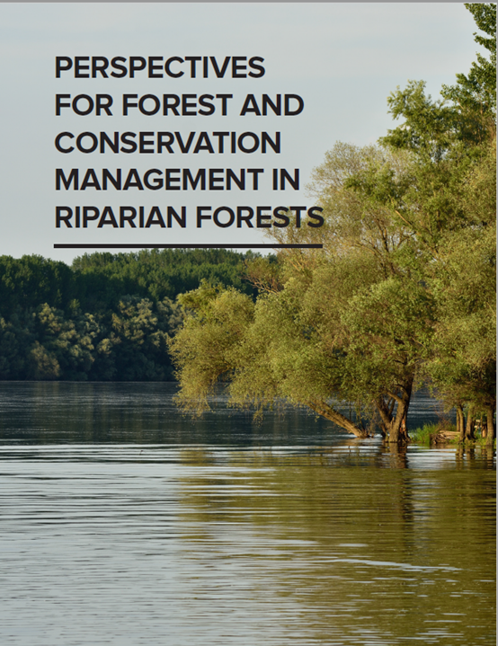 Perspectives for forest and conservation management in riparian forests
